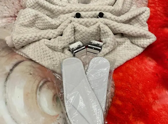 船屋 Hausboot Lore 杜伊斯堡